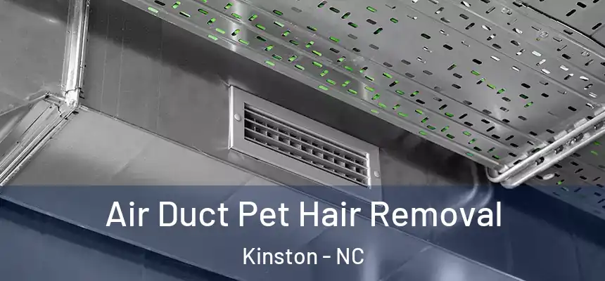 Air Duct Pet Hair Removal Kinston - NC
