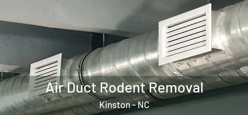 Air Duct Rodent Removal Kinston - NC