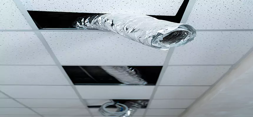 Our Air Duct Pet Hair Removal Services in Kinston, NC