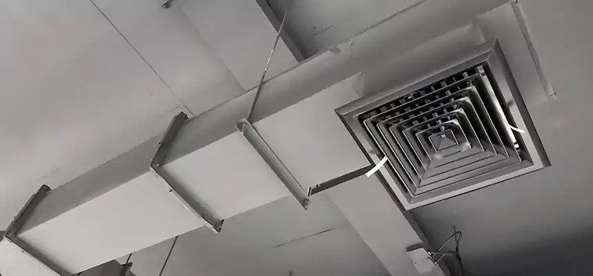 Our Rodent Droppings In Vents Services in Kinston, NC