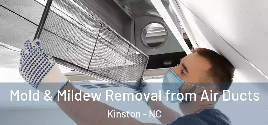  Mold & Mildew Removal from Air Ducts Kinston - NC