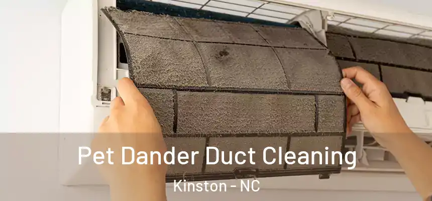  Pet Dander Duct Cleaning Kinston - NC