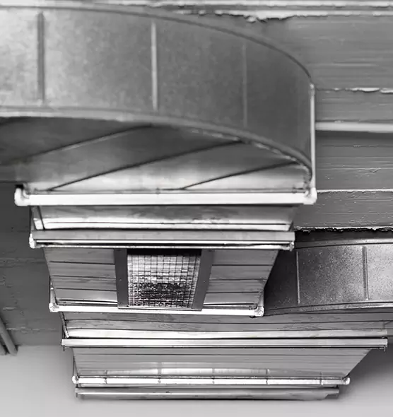 Professional Air Duct Pet Hair Removal in Kinston, NC