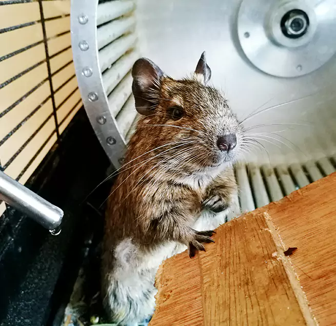 Why Homeowners & Businesses Trust Us Kinston, NC