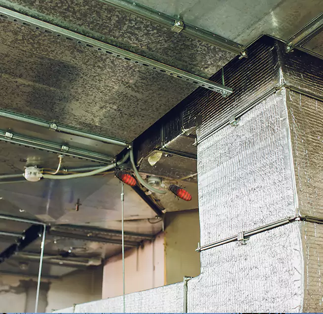 Why Homeowners & Businesses Trust Us Kinston, NC?